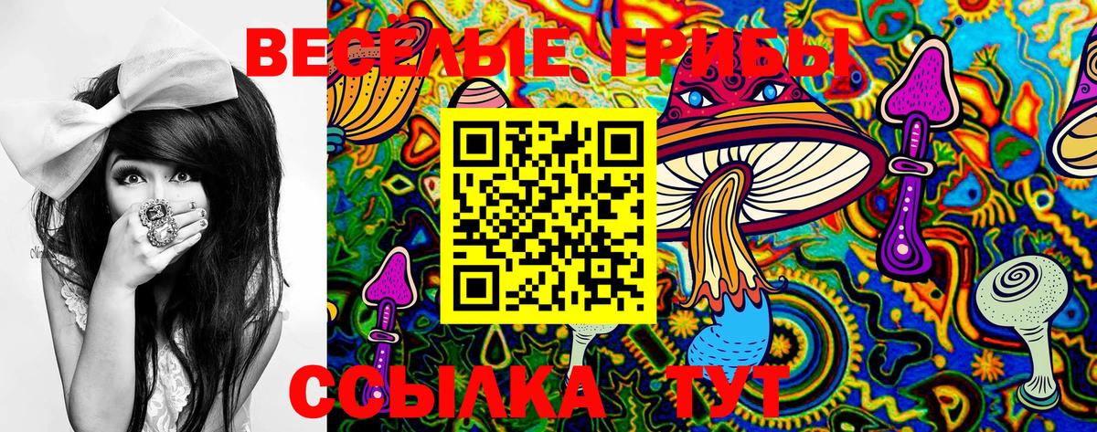 Псилоцибиновые грибы Psilocybine cubensis  Вход с VPN  Гагарин 